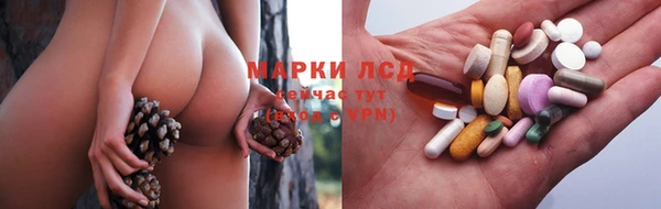 трава Покачи