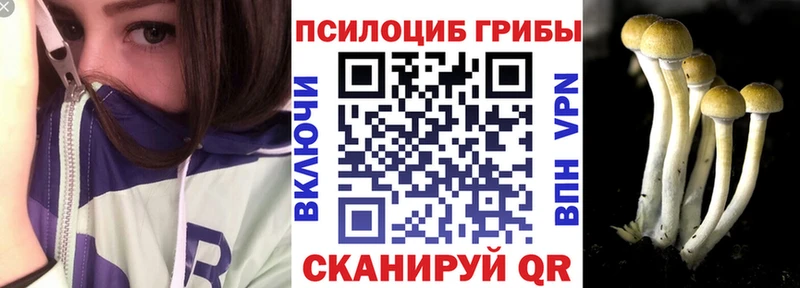 Галлюциногенные грибы прущие грибы  hydra маркетплейс  Анива  купить  